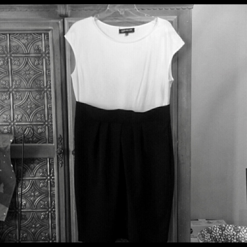 Jones New York Color Block Dress, size 14, EUC